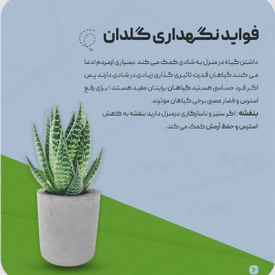 طراحی معرفی گیاه