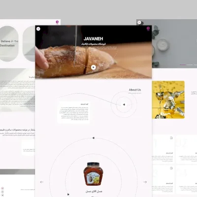Javaneh(Shinan) Landing page -Marketing Agency