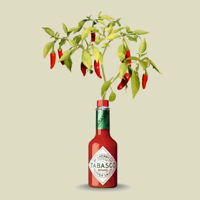 طراحی پوستر